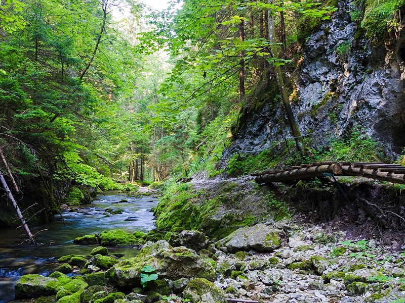 Parc national du Paradis slovaque