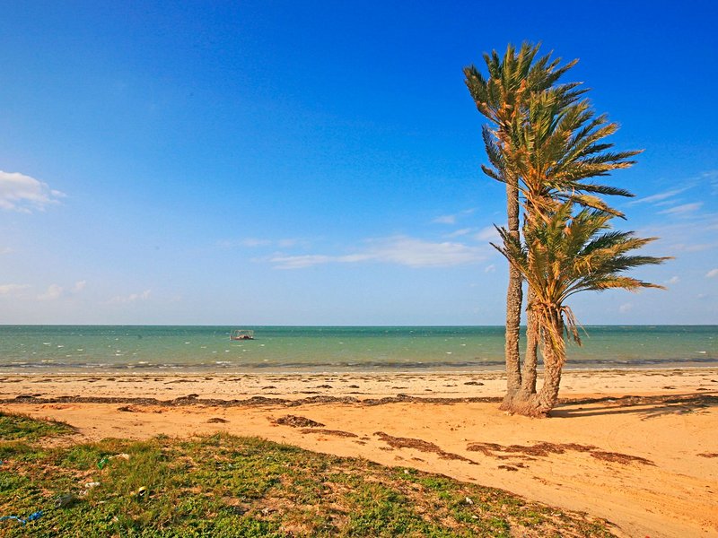 Les plages de Kerkennah
