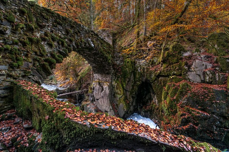 The Hermitage, Dunkeld, Perthshire 3