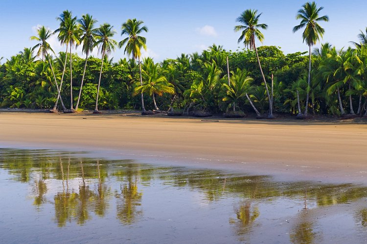 La plage d’Uvita