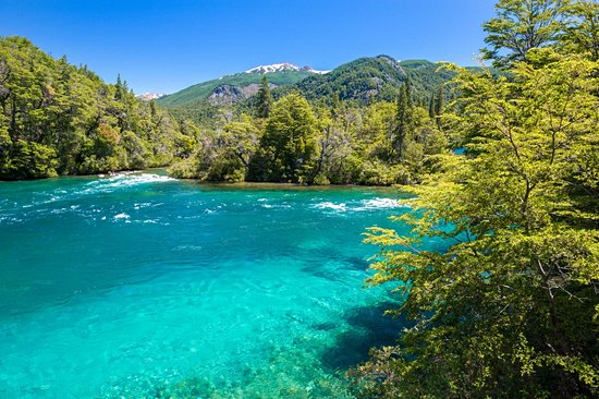 Parc national Los Alerces