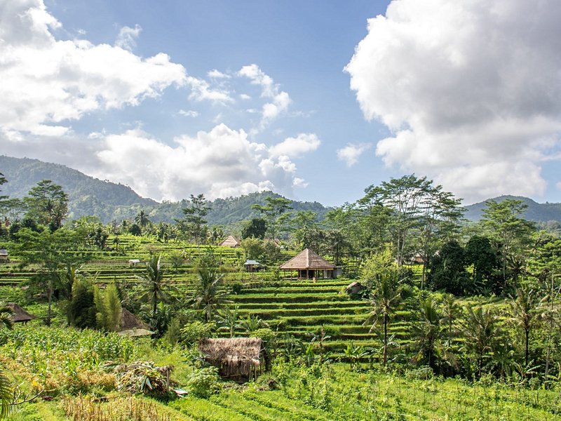 Sidemen (Bali)