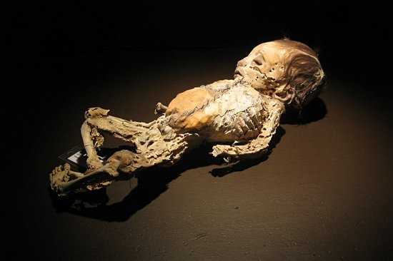 Le musée des Momies