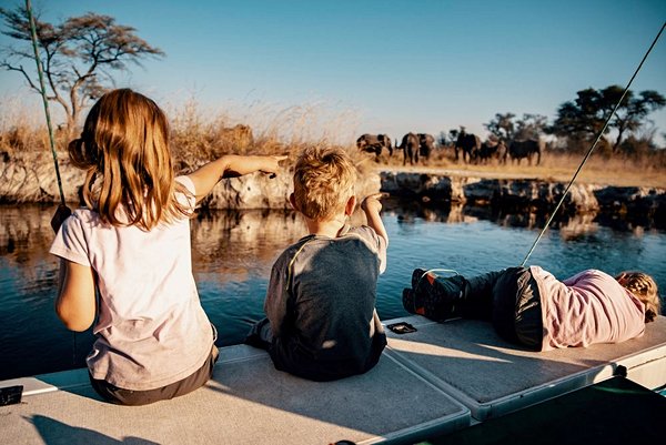 safari Namibie