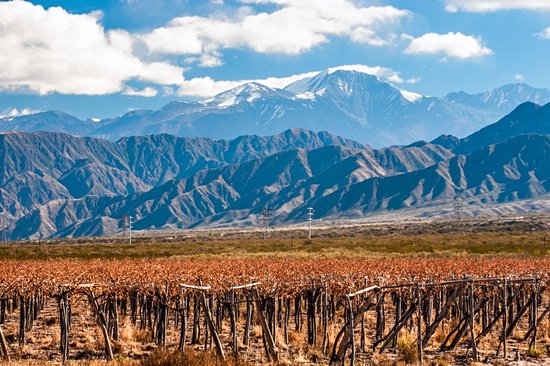 Mendoza