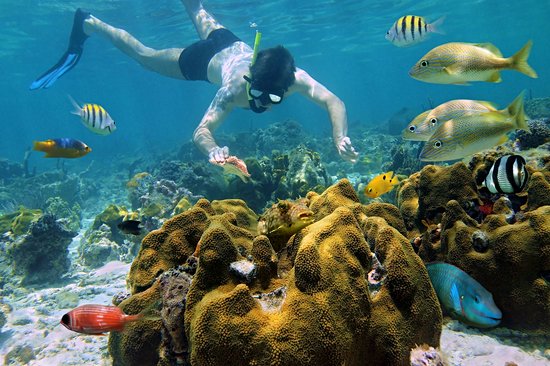 L'île de Cozumel en excursion snorkeling
