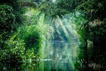 Parc national Tortuguero