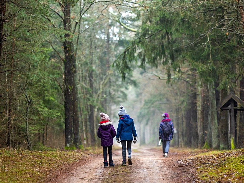 Parc national de Bialowieza