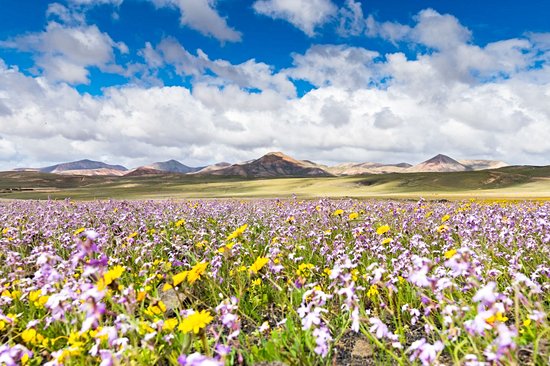 Pac naturel de Los Ajaches