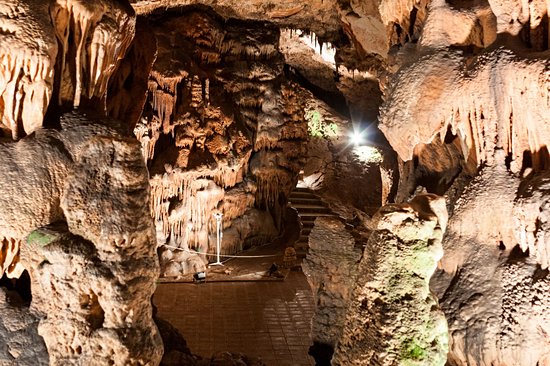 Grotte Saeva dupka