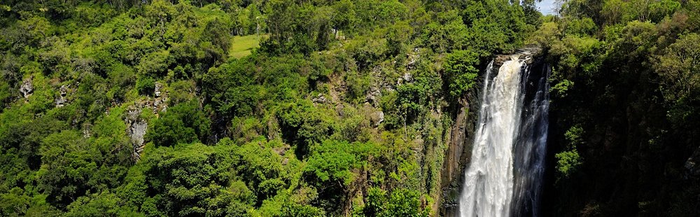 Les Thomsons Falls