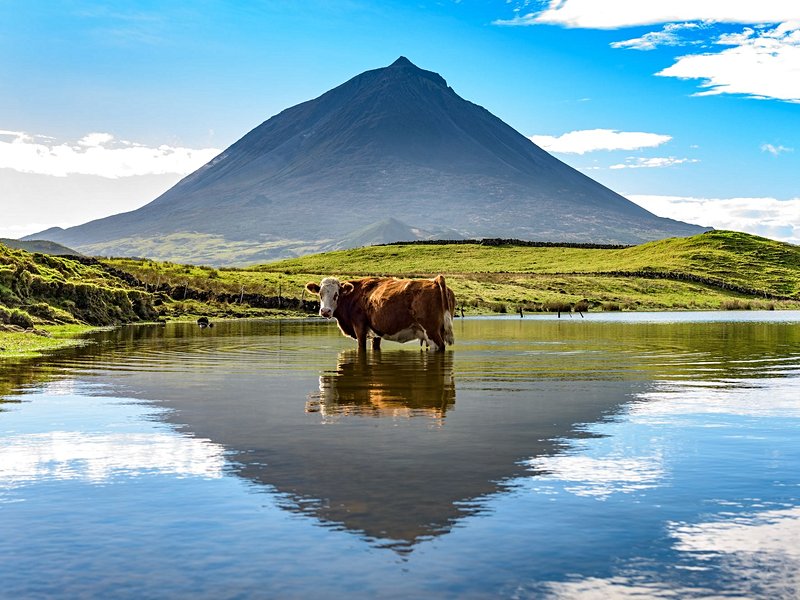 Volcan de Pico