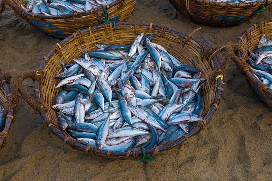 Marché aux poissons