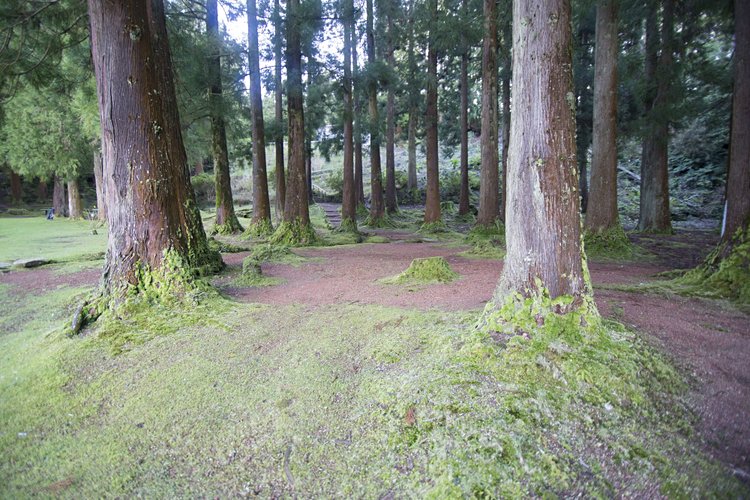 Il était une fois… Le lagoa das Patas 3