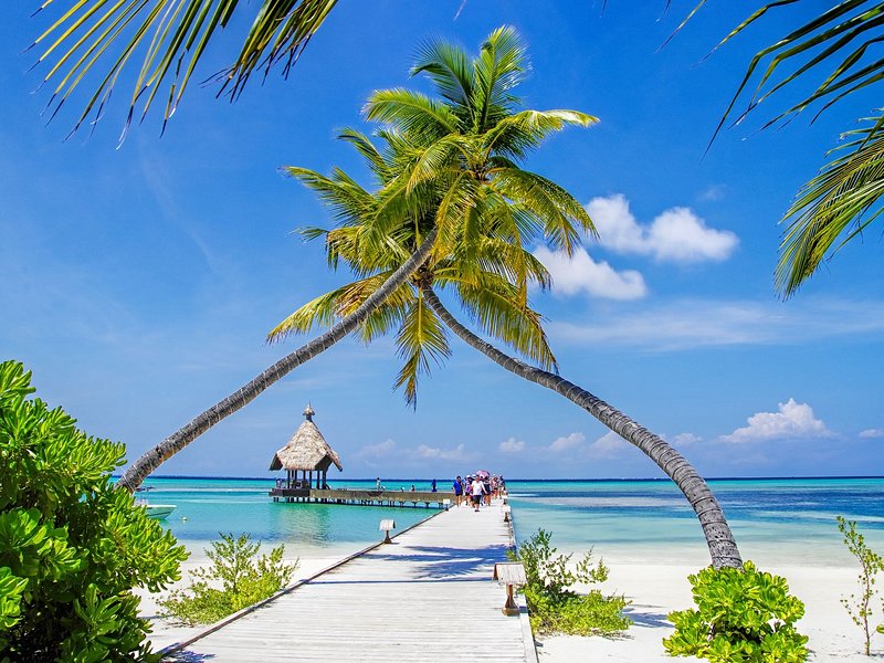 Addu