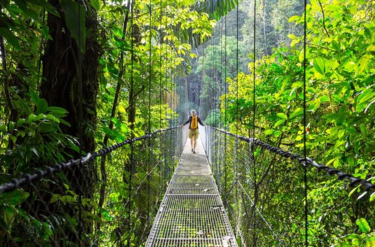 Partir en trek dans la jungle