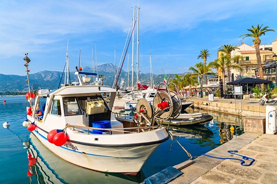 Calvi