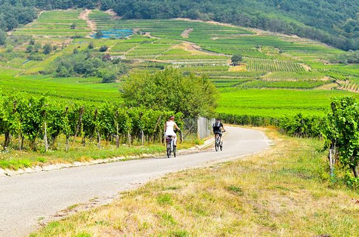 Découvrir Strasbourg et la région à vélo