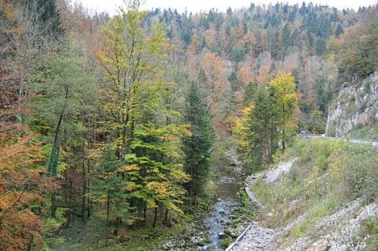 La Haute vallée de la Saine