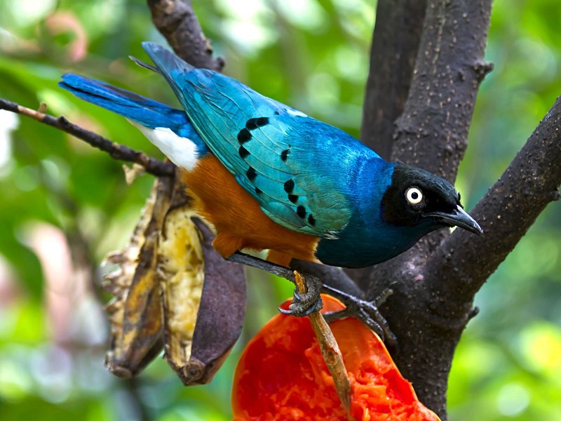 Parc national du Gunung Mulu