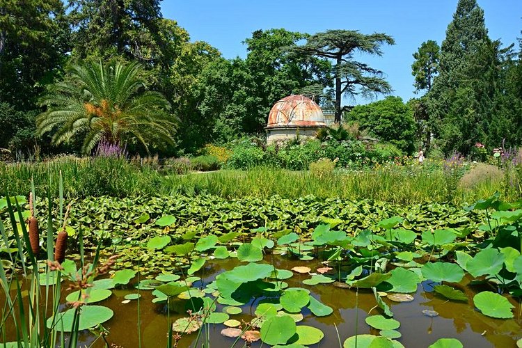 Le Jardin des Plantes