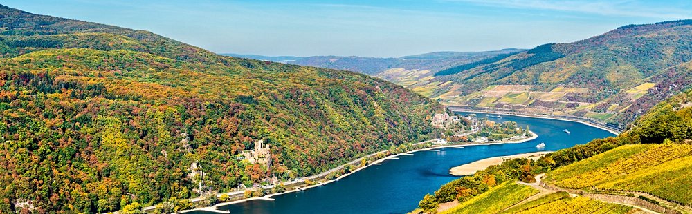 La rando romantique : le méandre de l’or du Rhin