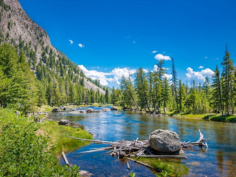 Yellowstone