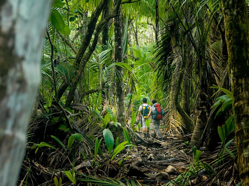 Le Parque Nacional Corcovado