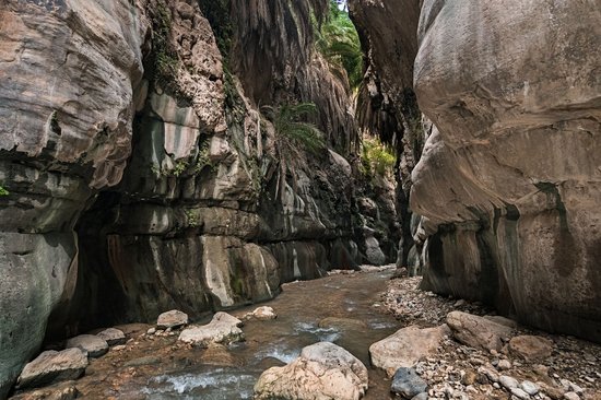 Wadi Bin Hammad