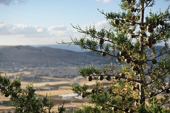 Parc national d'Amman