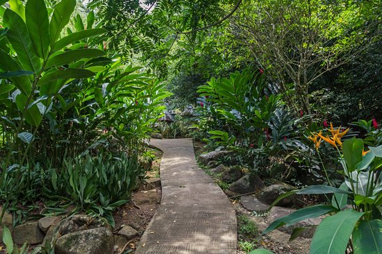 Jardin du Roi