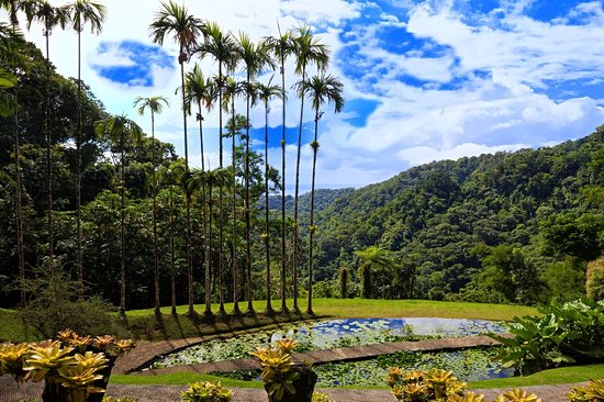 Jardin de Balata