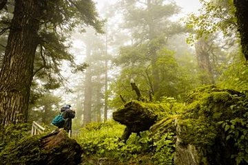 Parc national de la Vallée des fleurs