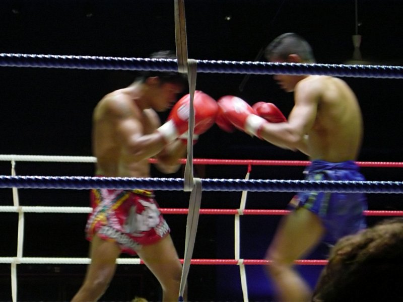 Assister à un match de boxe thaïe