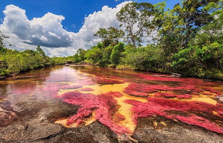 La rivière aux cinq couleurs