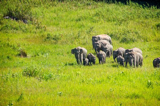 Parc national de Khao Yai : trail n°5