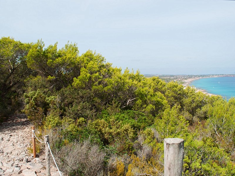 Chemin de Sa Pujada