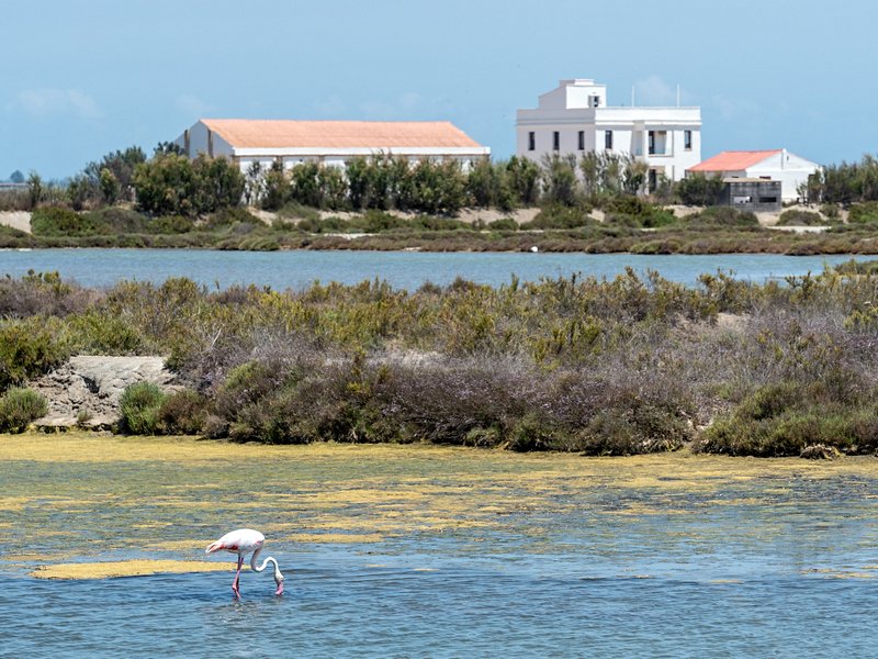Delta de l’Ebre