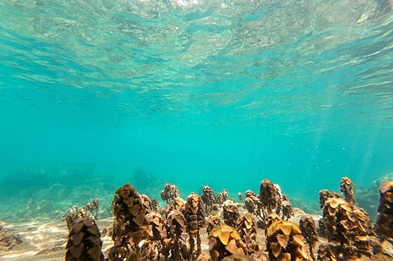 Les plages de Koh Kut