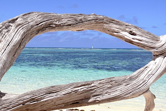 Anse La Farine