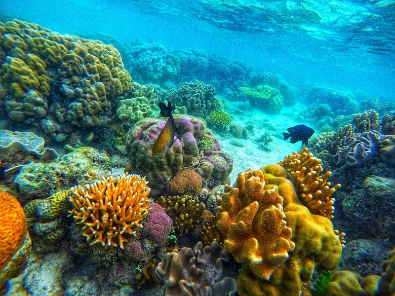 Faire du snorkeling à Siete Pecados