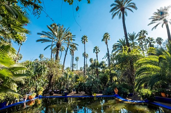 Le jardin Majorelle