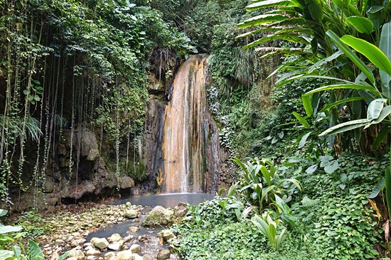 Diamond Botanical Gardens