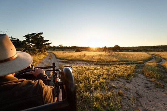 Sabi Sands Game Reserve