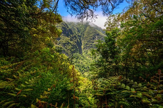 PR9 : Levada do Caldeirao Verde