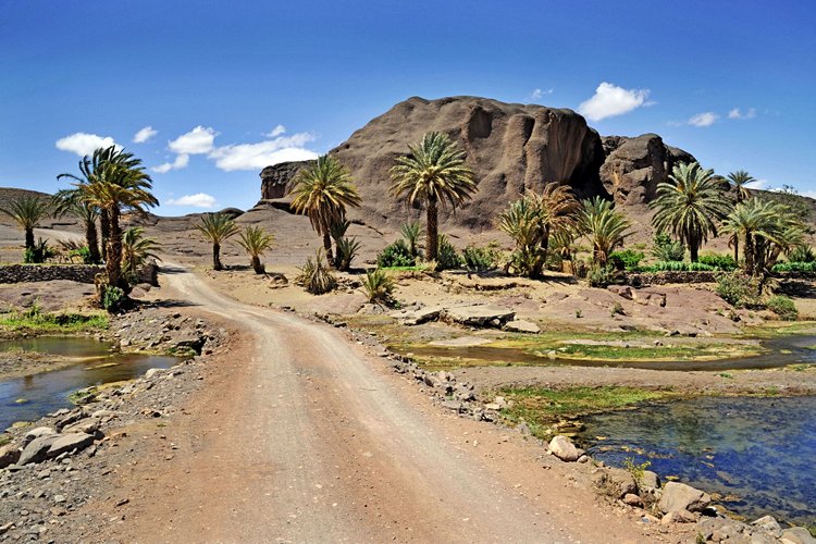 L'oasis de Fint 2