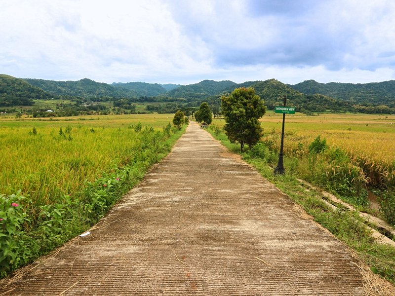 Autour de Yogyakarta (Java)