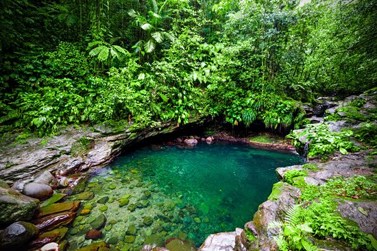 La cascade Paradis