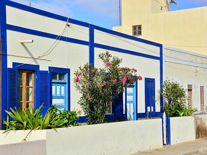 Palmeira