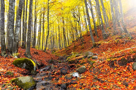Parc national de l'Uludag